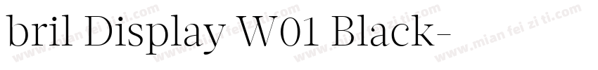 bril Display W01 Black字体转换